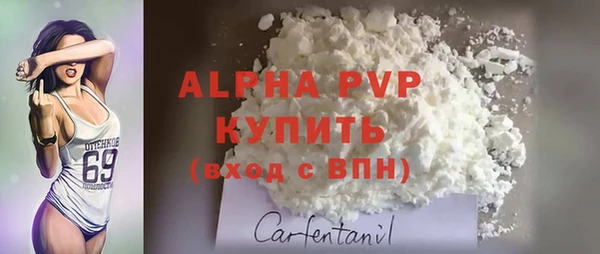 дживик Арсеньев