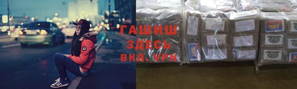 сатива Армянск