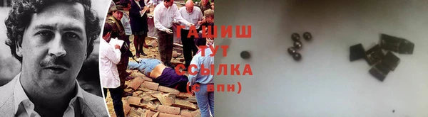 трава Няндома