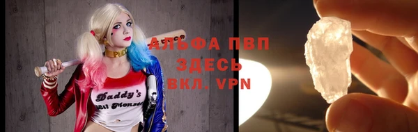 сатива Армянск