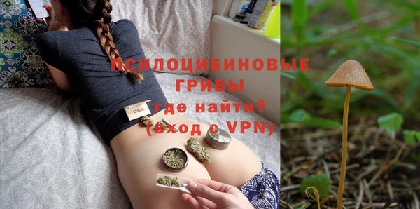 дживик Арсеньев