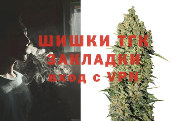 сатива Армянск