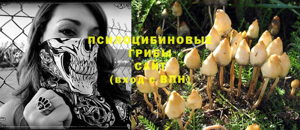 дживик Арсеньев