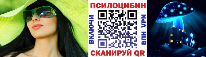 shop официальный сайт  Кадников  Галлюциногенные грибы GOLDEN TEACHER 